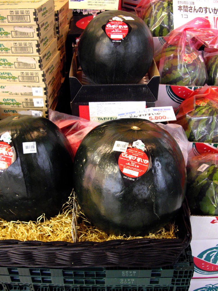 densuke black watermelon, japan