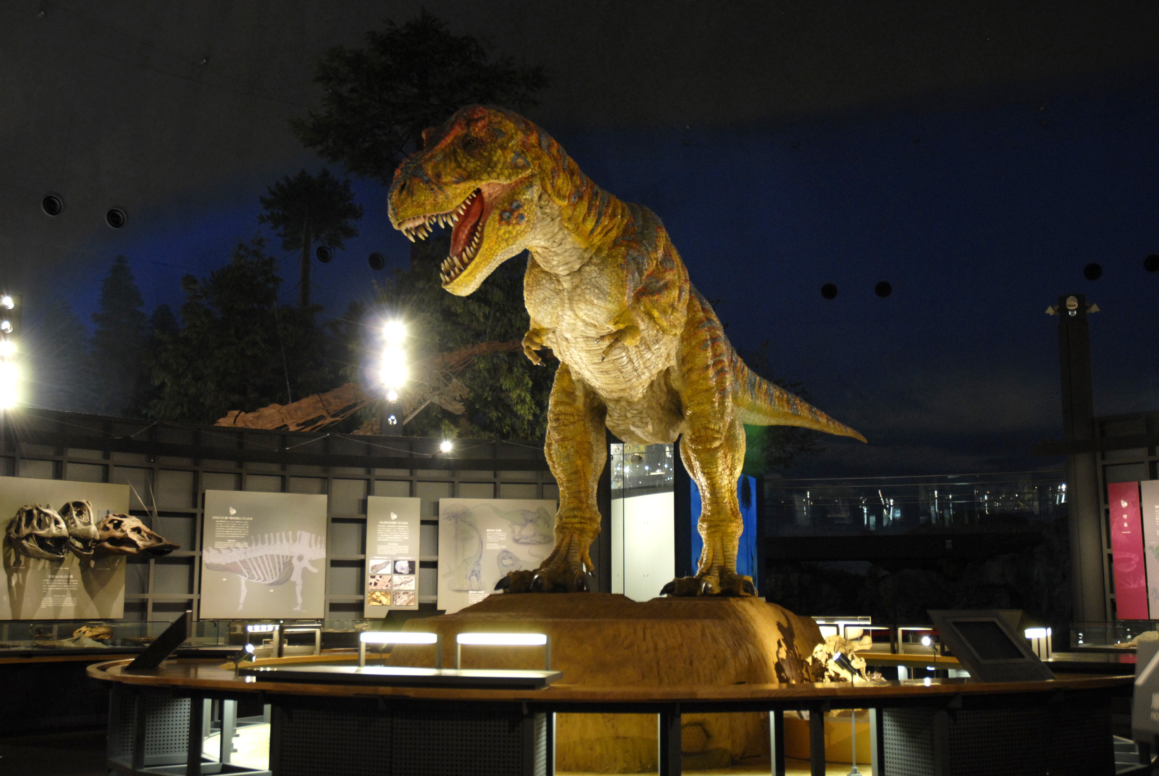 Resultado de imagem para fukui dinosaur museum