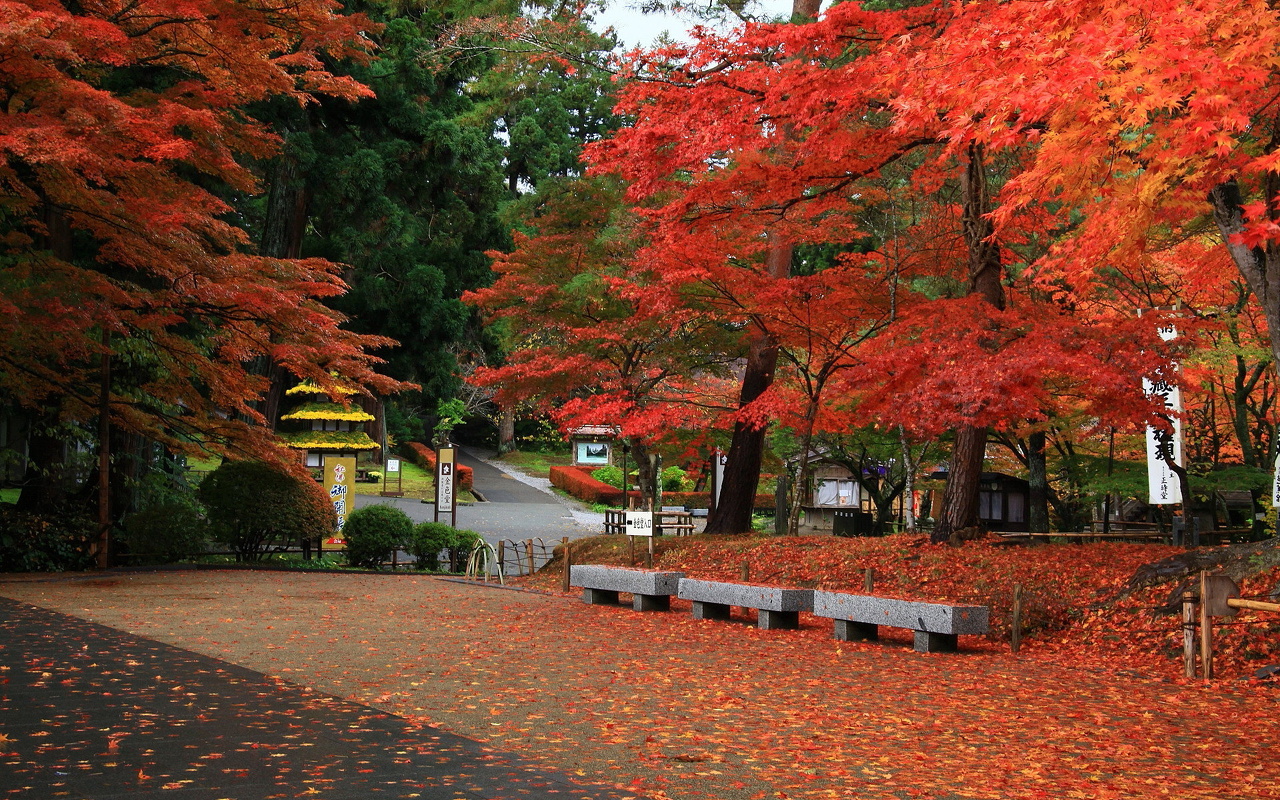 Hiraizumi - Temples, Gardens and Archaeological Sites Representing the