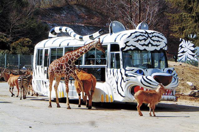 safari park gunma