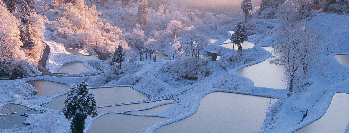 Hoshitouge Rice Terrace